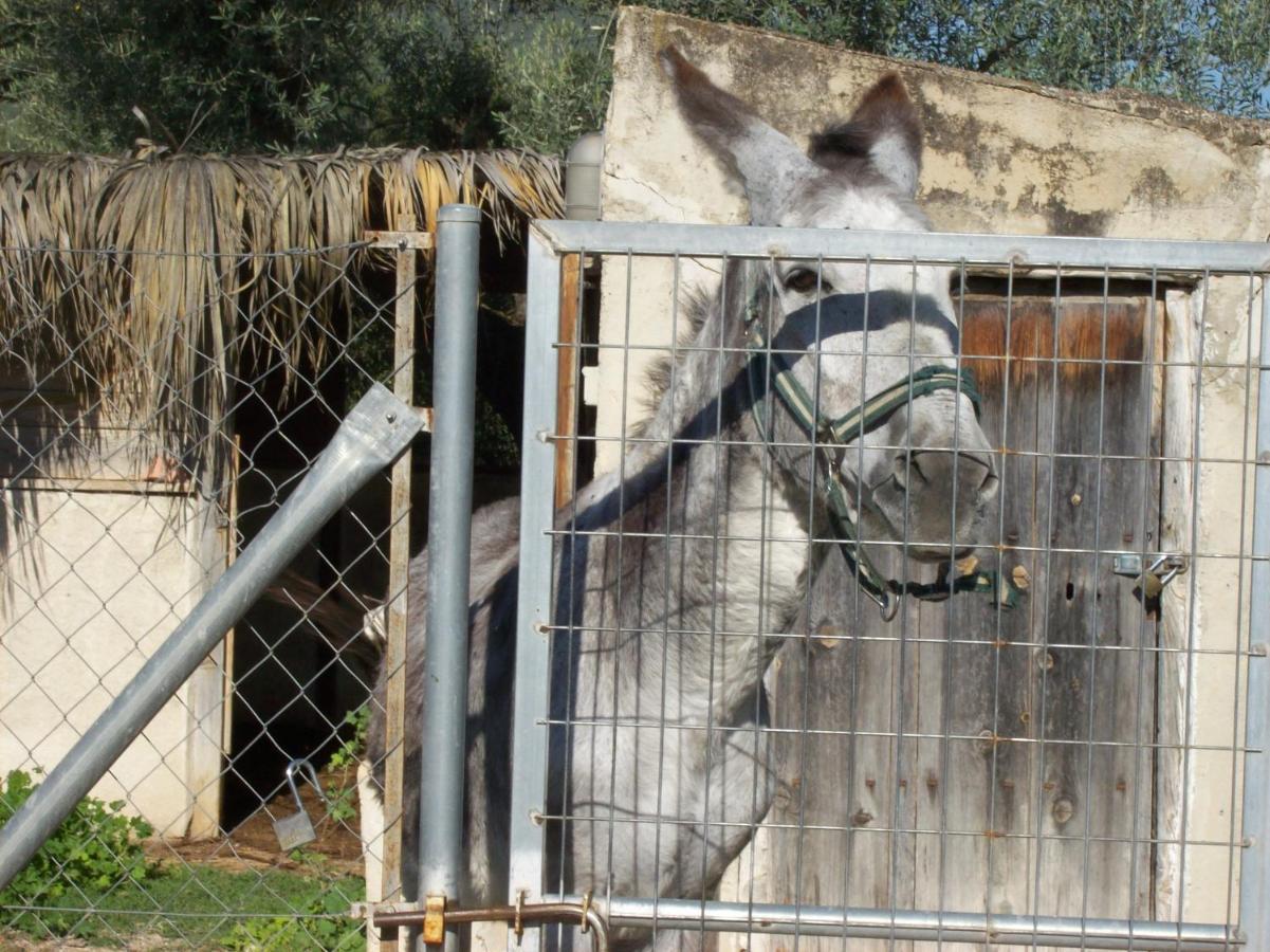 Casa Trotamundos Διαμέρισμα Moratalla  Εξωτερικό φωτογραφία